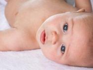 Фенхель — целебные свойства и польза для детей Фиточай с фенхелем для новорожденных